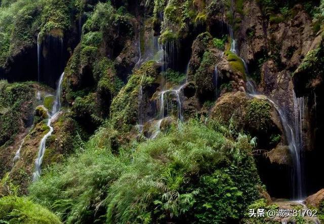 搏击运动:健身房中的战斗艺术